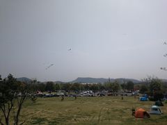 -羊山湖公园
