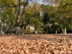 -山东大学(趵突泉校区)