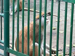 -秦皇岛野生动物园