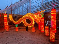 -南宫五洲植物乐园