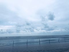 -南汇嘴观海公园