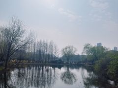 -郑州植物园