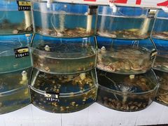 -叶存利海鲜大馅饺子(东戴河止锚湾店)