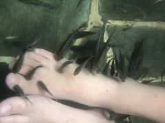 -天目湖涵田半山温泉