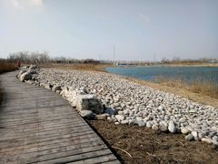 -天津东丽湖风景区