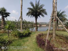 -枫香湖儿童公园