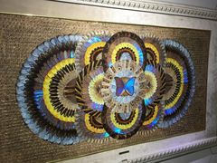 -上海昆虫博物馆