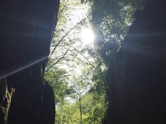 -牛背梁国家森林公园