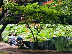 -北海道厅旧本厅舍(旧本庁舎)