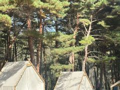 -玉泉威虎山森林公园
