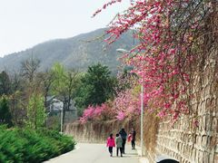 -北京鹫峰国家森林公园