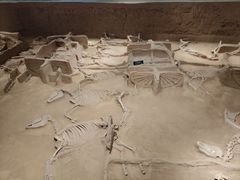 -洛阳周王城天子驾六博物馆