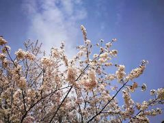 -幕燕滨江·长江观音景区