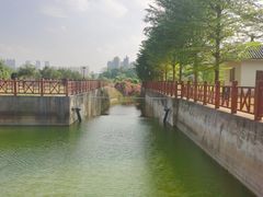 -广西壮族自治区药用植物园