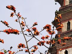 -广州莲花山旅游区