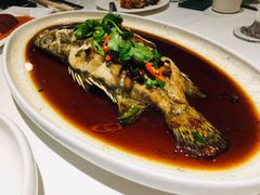 豉香泰椒风味桂鱼-申粤轩酒楼·三十年粤菜经典(丁香花园店)