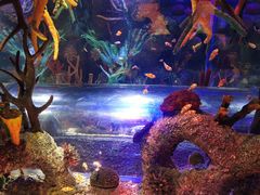 -沈阳海洋探索中心