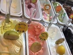 -柠檬车露(卖草地店)