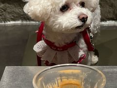 -J Create城市露营咖啡·简餐·宠物(上海动物园店)