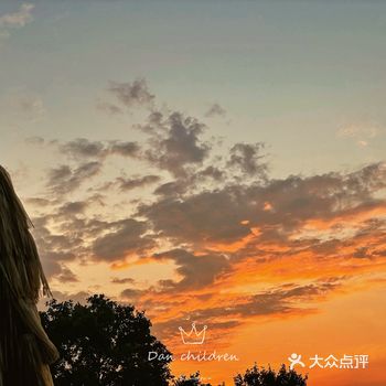 湖濱店的冰搖檸檬茶太好喝了 最近經常去的一家飲品店