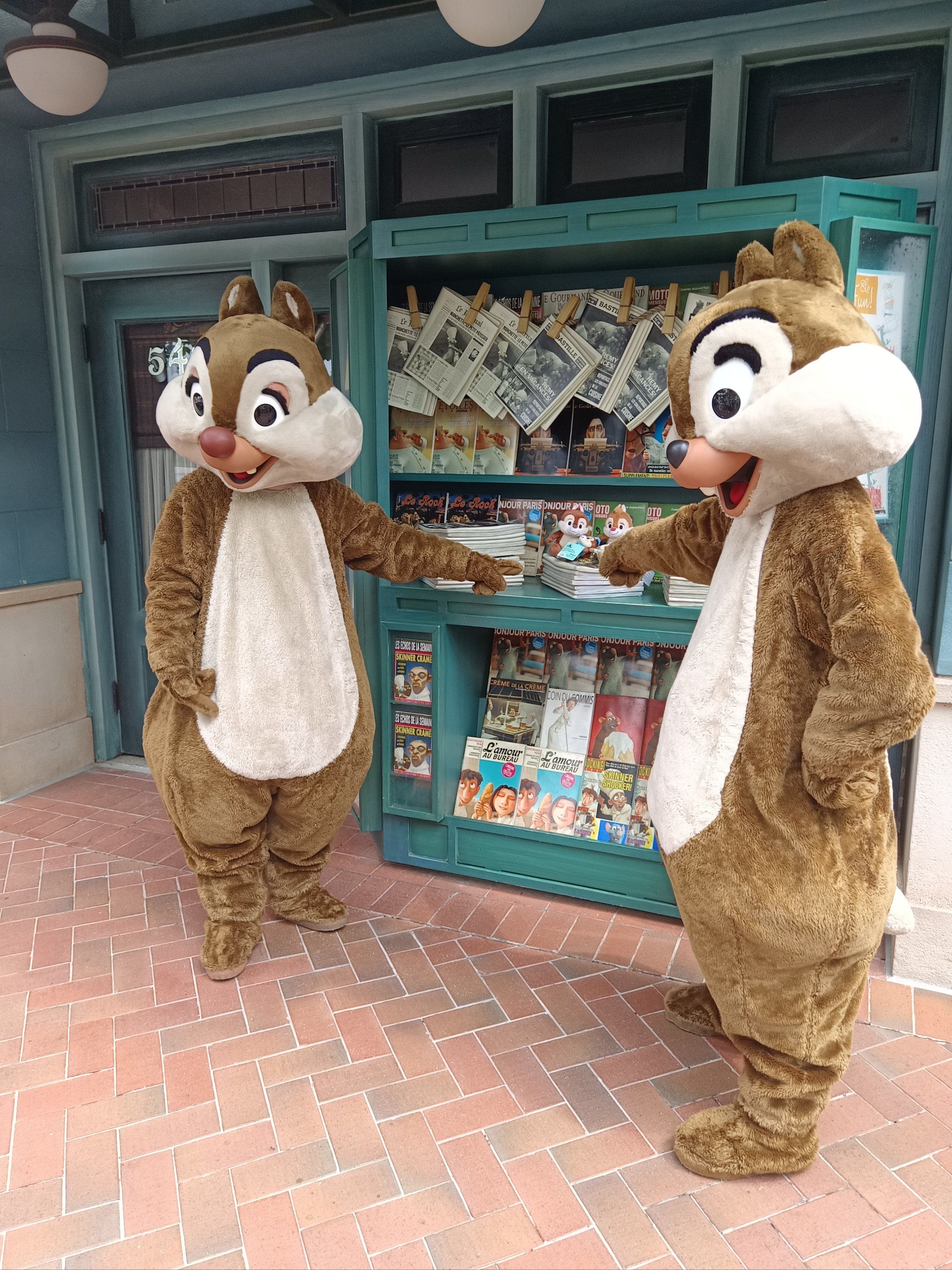 这么些年我都不知道怎么区分奇奇蒂蒂