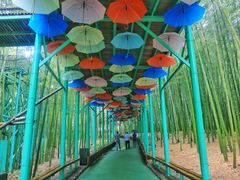 -陶祖圣境风景区