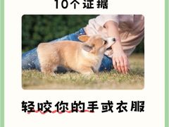 -御宝贝·A梦猫科宠物医院(国际猫友好医院)