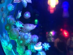 -太平洋海底世界博览馆·展览厅