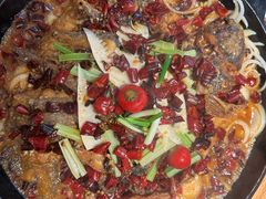 -老板恋上鱼(恒隆广场店)