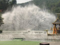 -西双版纳原始森林公园