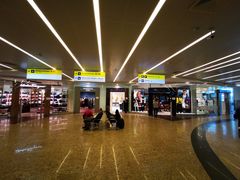 -谢列梅捷沃国际机场