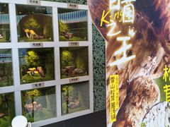 -芸山季·云南山珍菌火锅(南翔印象城MEGA店)