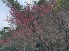 -常德桃花源景区