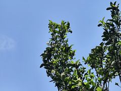 -武昌江滩