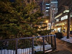 -北海道厅旧本厅舍(旧本庁舎)