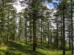 -峨眉山风景名胜区