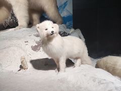 -浙江自然博物院(杭州馆)