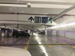 -上海浦东国际机场T1航站楼-P1停车场