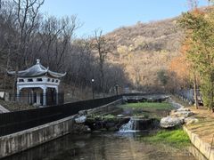 -白水寺森林公园