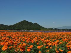 -百里山水画廊乌龙峡谷