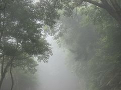 -梧桐山风景名胜区