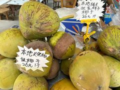 -西双版纳傣族园