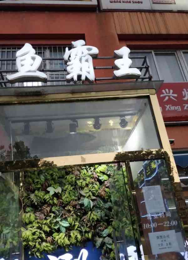 鱼霸王四季涮肉(二分店)-"口味非常好,一直都来这个店,环境的话感觉.