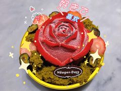 -哈根达斯(深圳海岸城店)