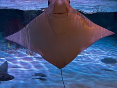 -沈阳海洋探索中心