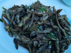 -黄牛肉馆·皖南土菜