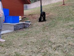 -雅和生态渔庄·宜城锅巴饭(龙灵山公园店)