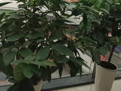 -偶屋里钵少爷(时代广场店)