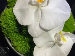 -冰火楼(梦泽园店)