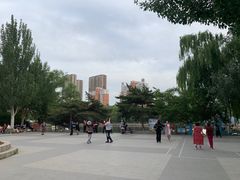 -沈阳南湖公园